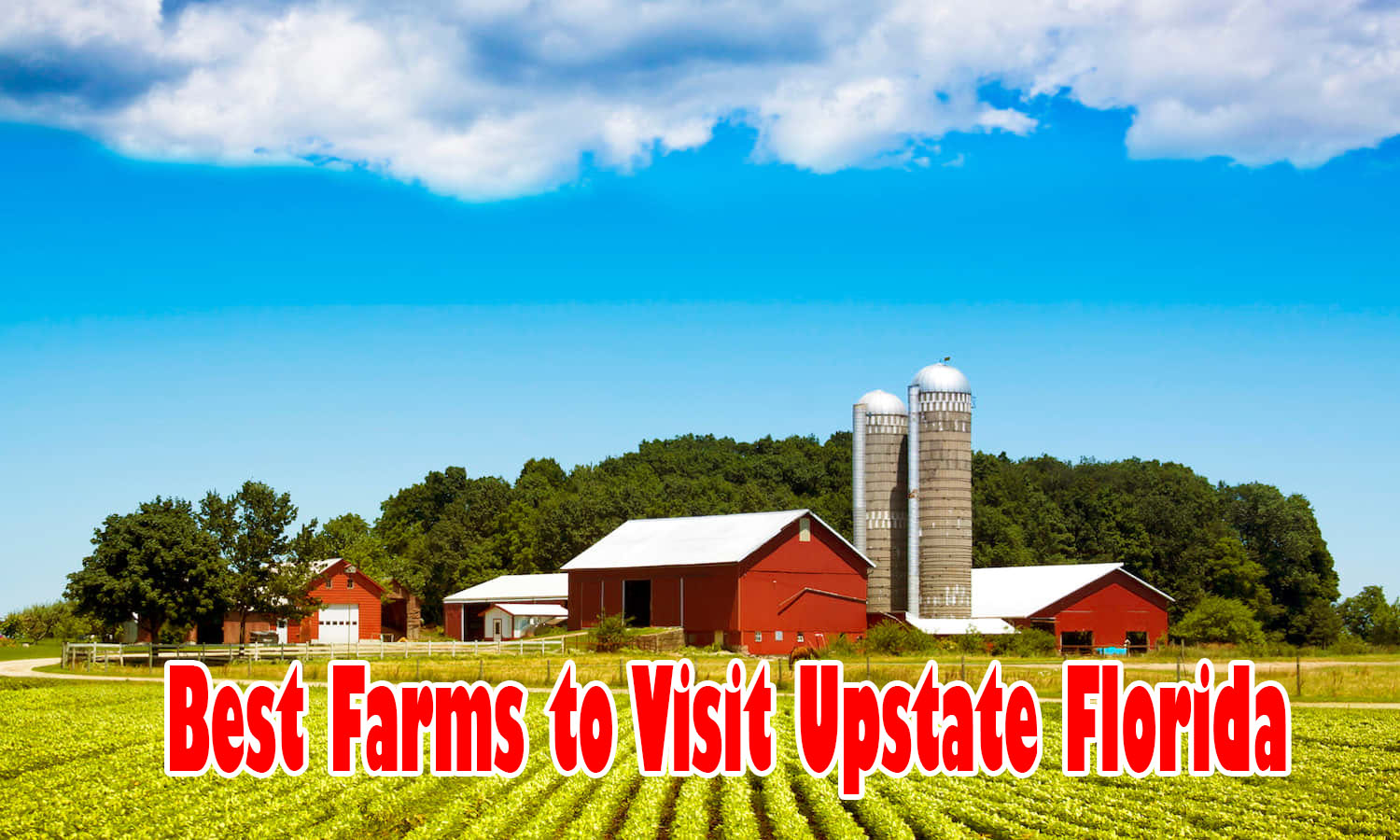 Explore the Sunshine State: 8 Best Farms to Visit Upstate Florida