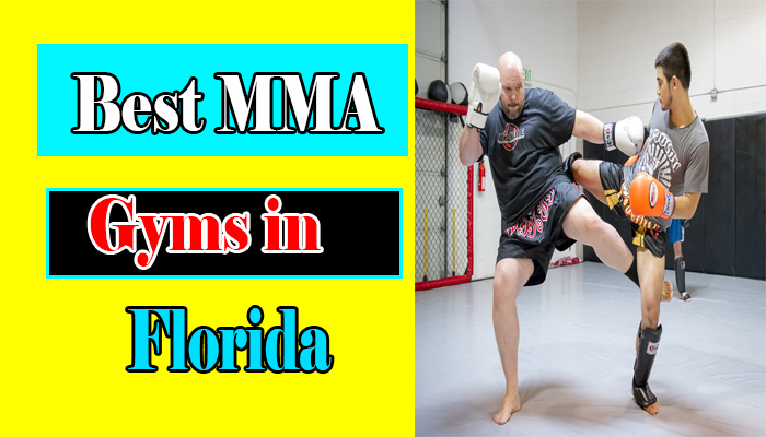 Best MMA Gyms in Florida: Unveiling the Top 10