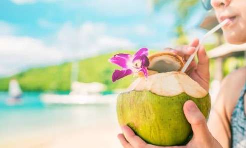 A Closer Look at the TSA Guidelines about Bring a Coconut on a Plane from Florida