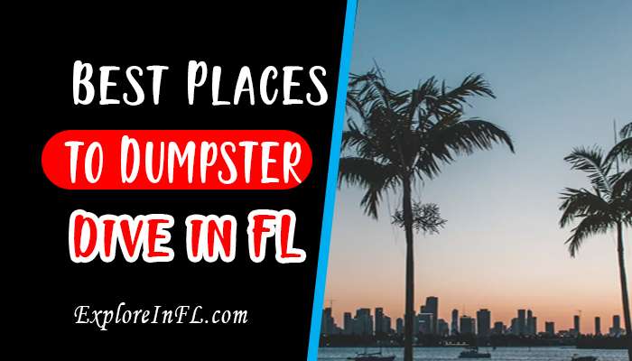 The Top 10 Best Places to Dumpster Dive in Florida