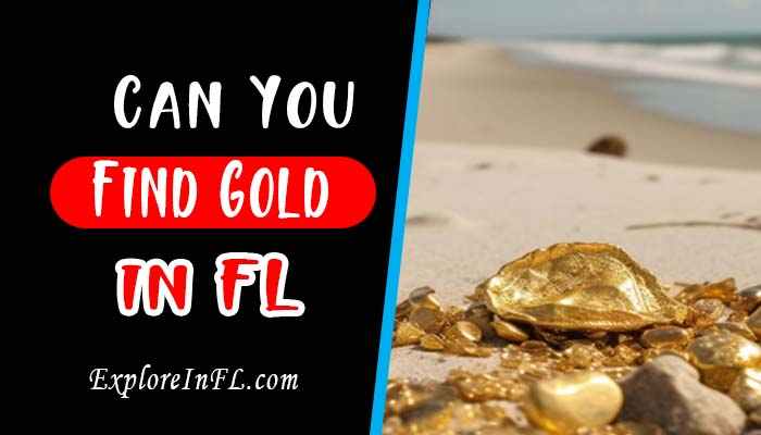 Can you find gold in Florida? A Hidden Treasure Hunt