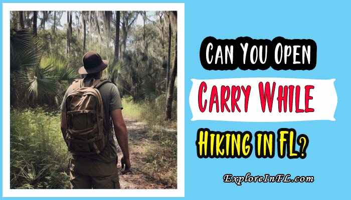 Can You Open Carry While Hiking in Florida?