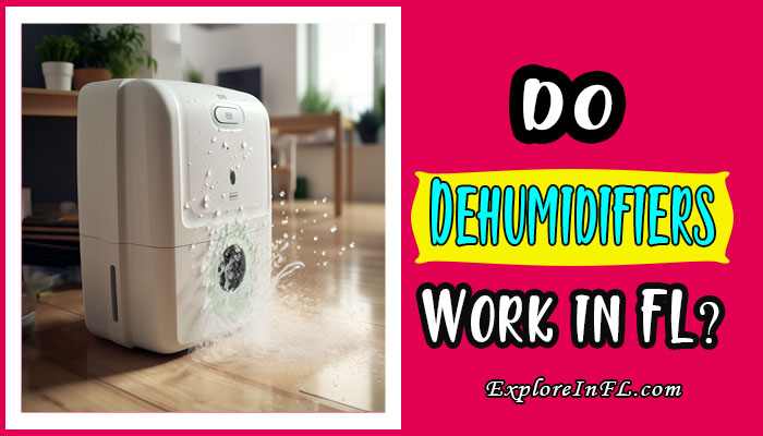 Do Dehumidifiers Work in Florida? Exploring the Humidity Battle