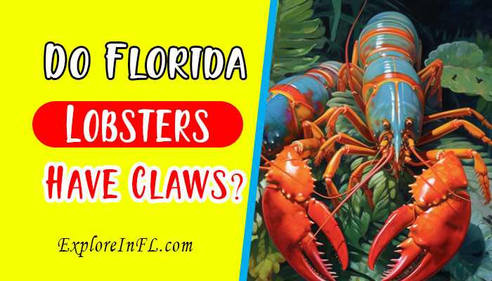 Do Florida Lobsters Have Claws? The Florida lobster