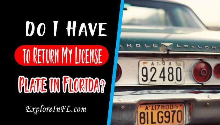Do I Have to Return My License Plate in Florida? the Mystery