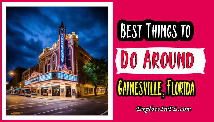 Exploring the Sunshine State: 20 Best Things to Do Around Gainesville, Florida
