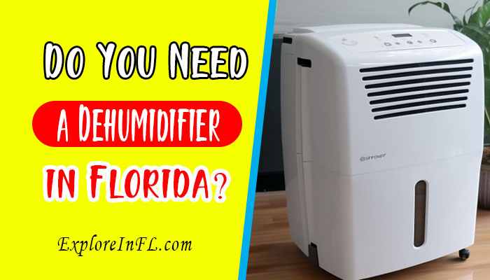 Do You Need a Dehumidifier in Florida? Find Out Here!