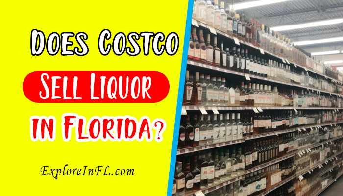 Unveiling the Spirit: Does Costco Sell Liquor in Florida?