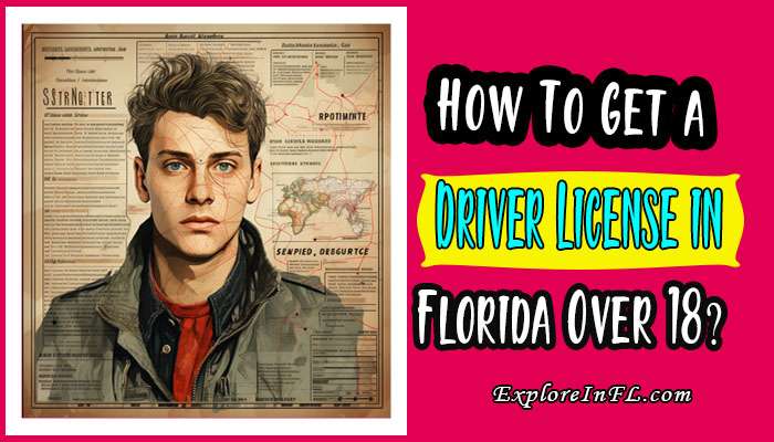 How To Get a Driver License in Florida Over 18? Step-by-Step Guide