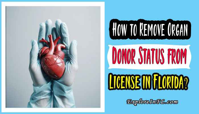 How to Remove Organ Donor Status from License in Florida? A Step-by-Step Guide