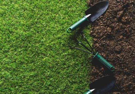 how to grow grass fast in Florida: Choose Your Weapon