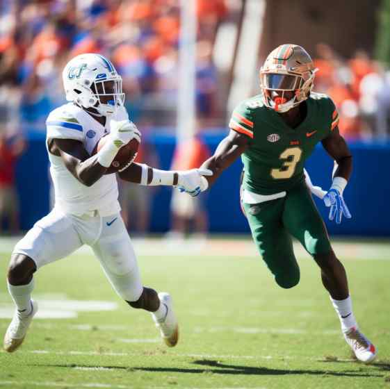 UF and USF: Which is Best?