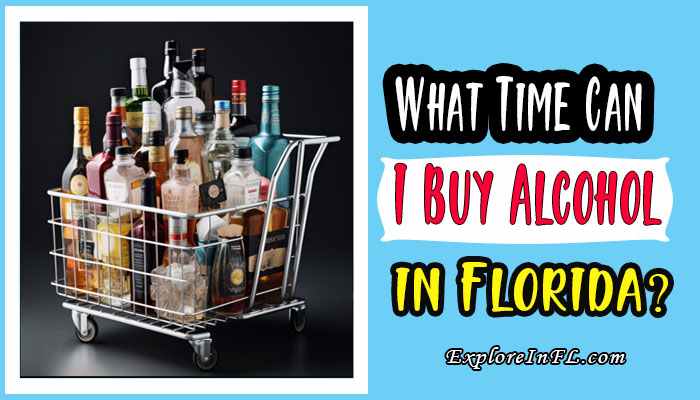 What Time Can I Buy Alcohol in Florida? Statewide Alcohol Sale Timing