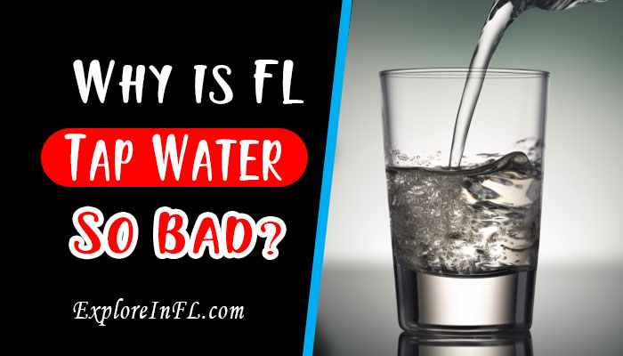 Sunshine State Blues: Why is Florida Tap Water So Bad?