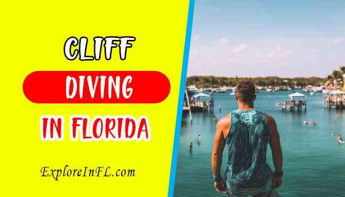 Unveiling the Thrill: Cliff Diving in Florida
