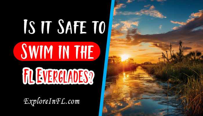 Is it Safe to Swim in the Florida Everglades?