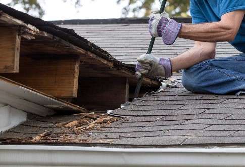 The Average Cost to Replace a Roof in Florida: Maintenance Tips to Extend Roof Lifespan