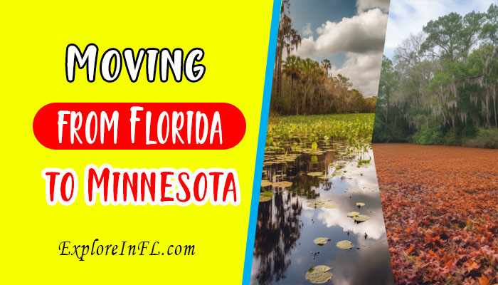 Moving from Florida to Minnesota: Embracing the North