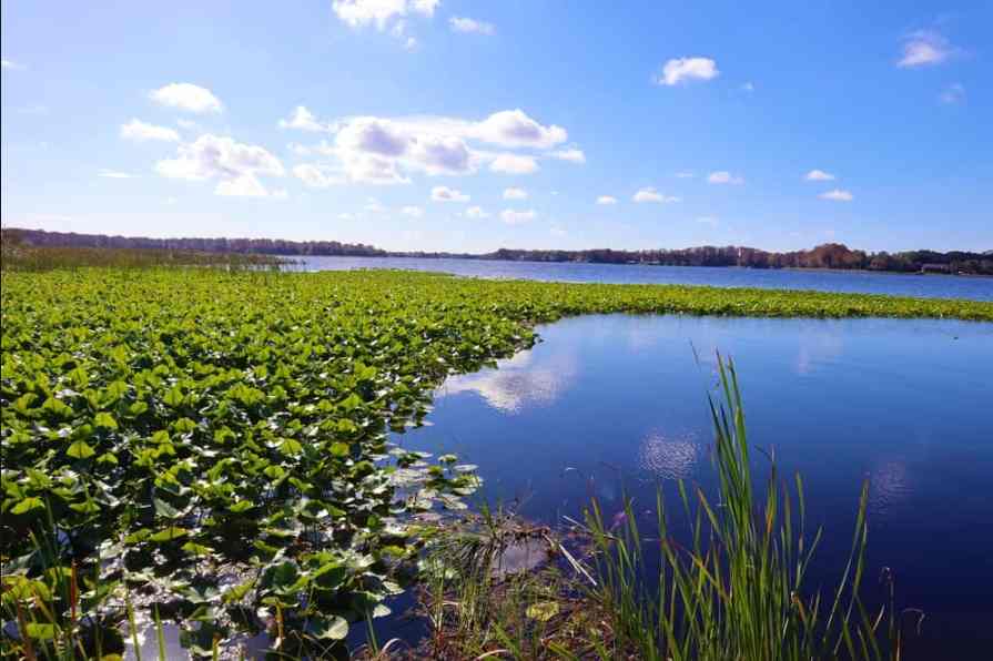 Does Florida Have So Many Lakes
