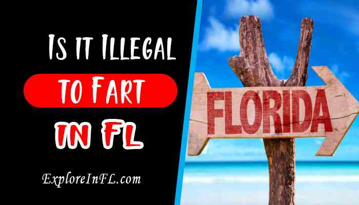 Breaking Wind: Is it Illegal to Fart in Florida?