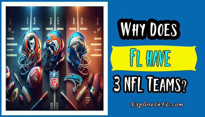 Why Does Florida Have 3 NFL Teams?