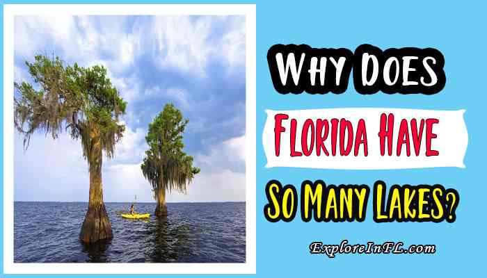 Why Does Florida Have So Many Lakes?
