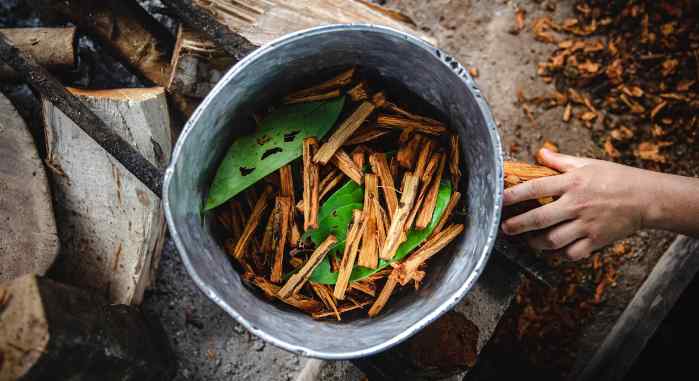 Cultural Sensitivity in Ayahuasca Practices