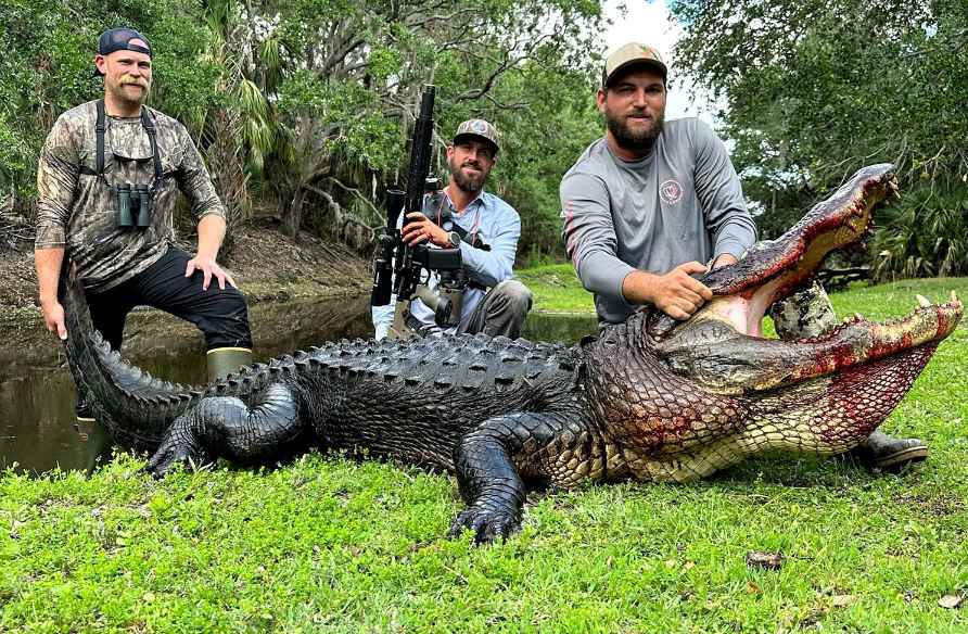 Legal Framework and Alligator Protection Laws in FL